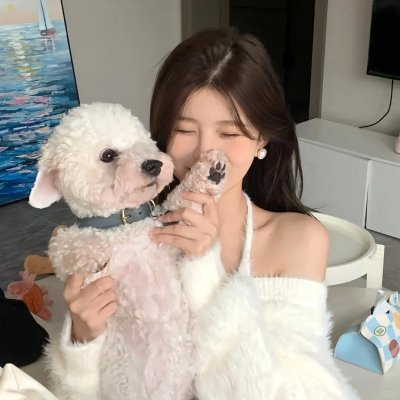 汪汪队立大功第三季