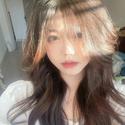 神犬小七第二季